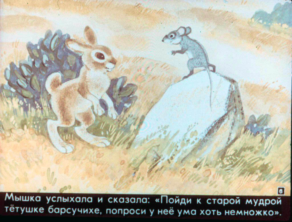 Кадр 6 диафильма «Как зайчишка ума набрался»