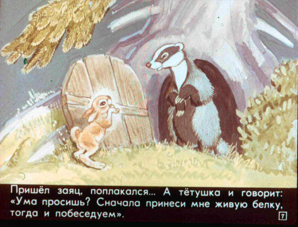 Кадр 7 диафильма «Как зайчишка ума набрался»