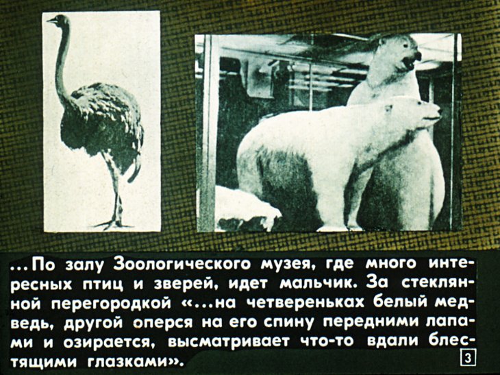 Кадр 3 диафильма «Лесная газета»