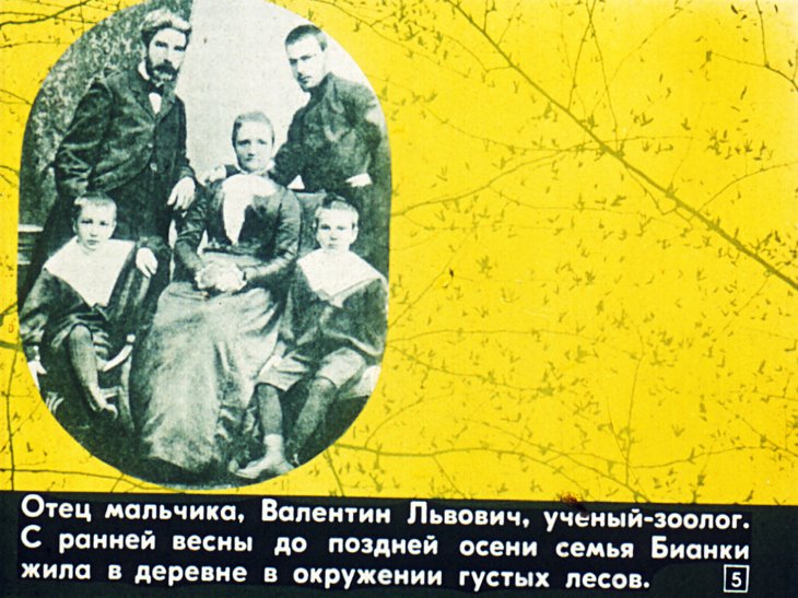 Кадр 5 диафильма «Лесная газета»