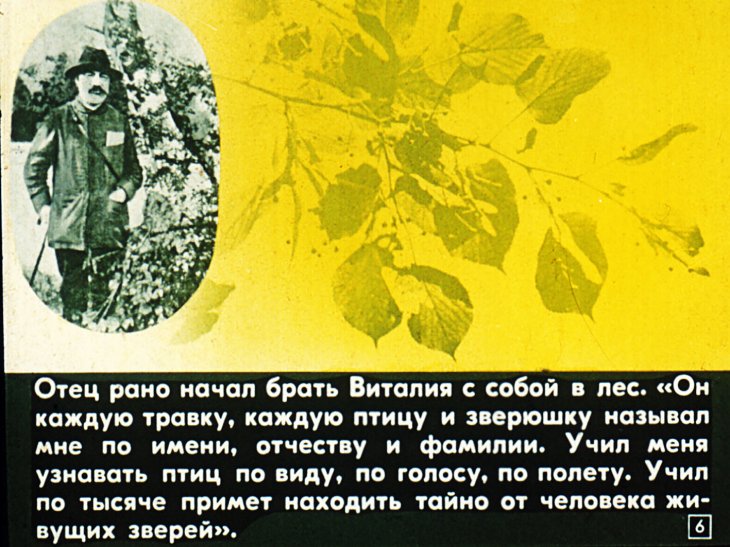 Кадр 6 диафильма «Лесная газета»