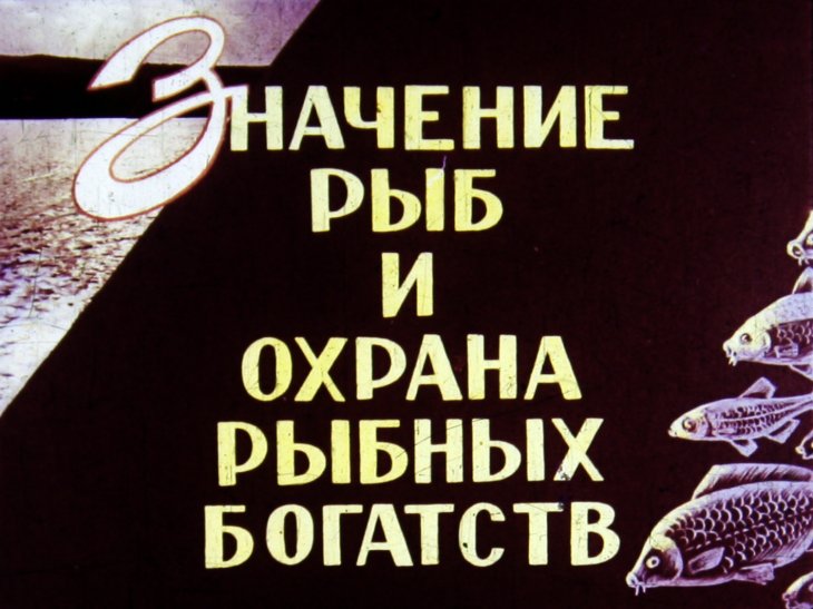 Кадр 1 диафильма «Значение рыб и охрана рыбных богатств»