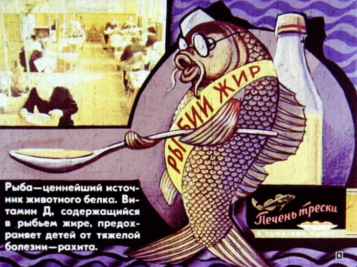 Кадр 5 диафильма «Значение рыб и охрана рыбных богатств»