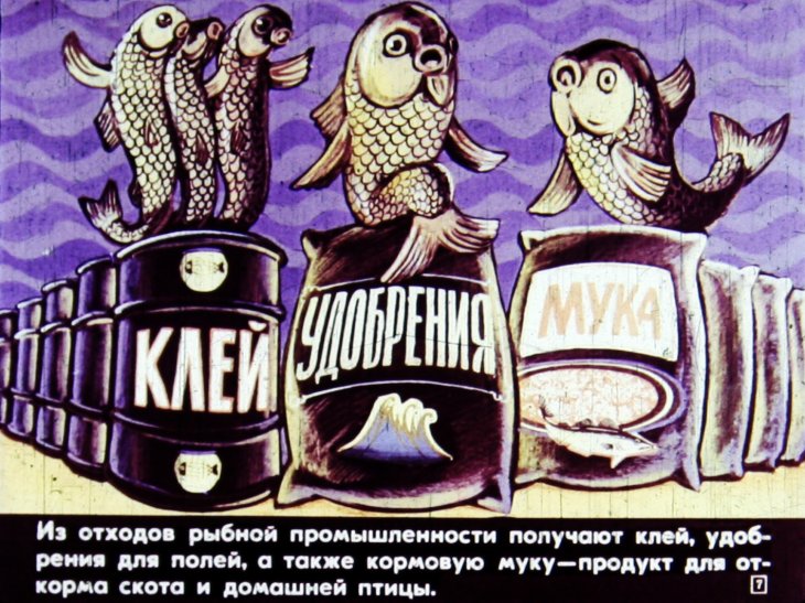 Кадр 7 диафильма «Значение рыб и охрана рыбных богатств»