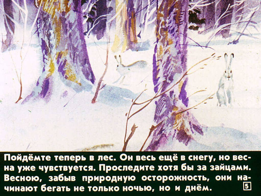 Кадр 5 диафильма «Кто как весну встречает»