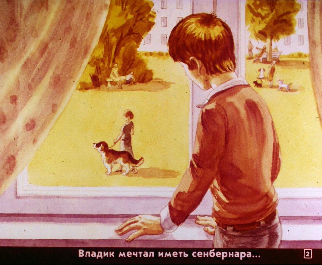 Кадр 2 диафильма «Дружок»