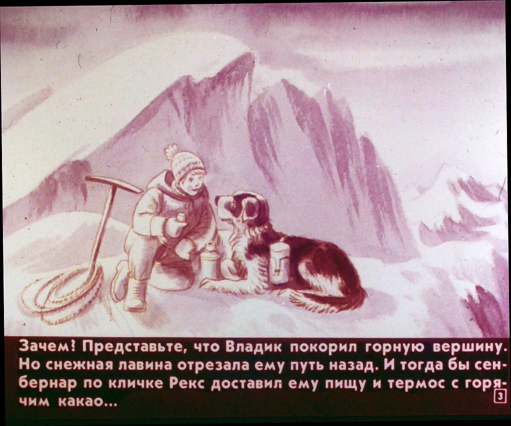 Кадр 3 диафильма «Дружок»