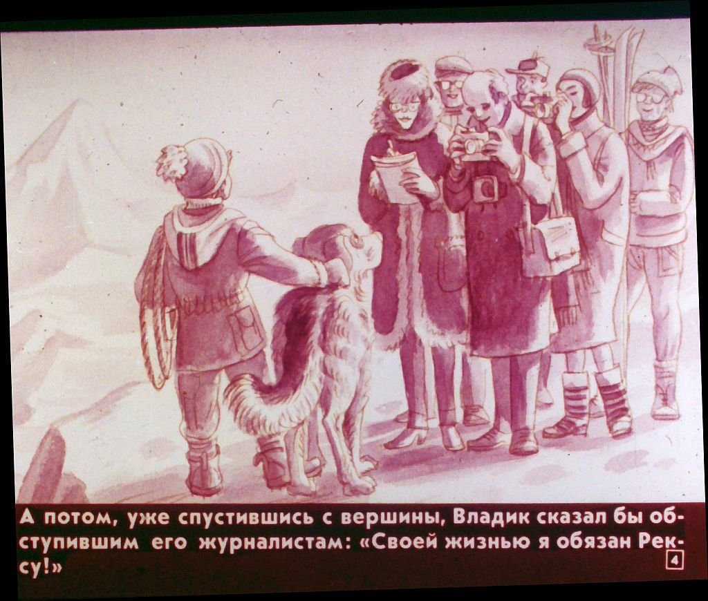 Кадр 4 диафильма «Дружок»