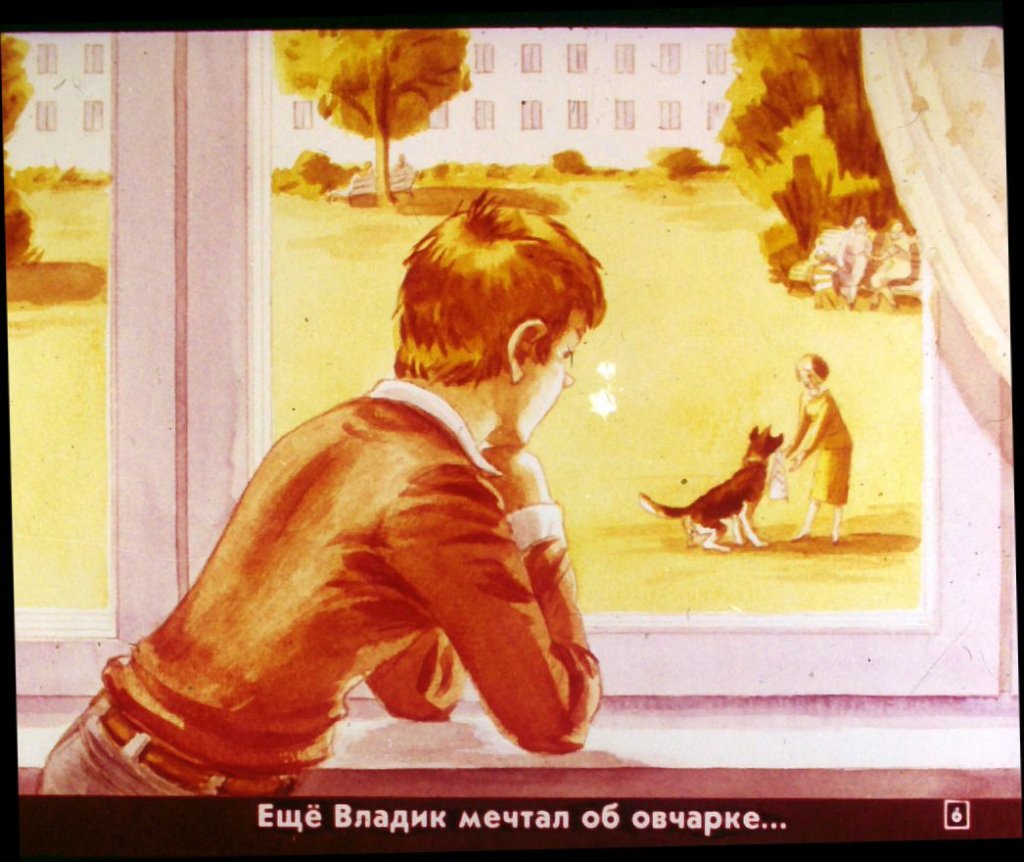 Кадр 7 диафильма «Дружок»