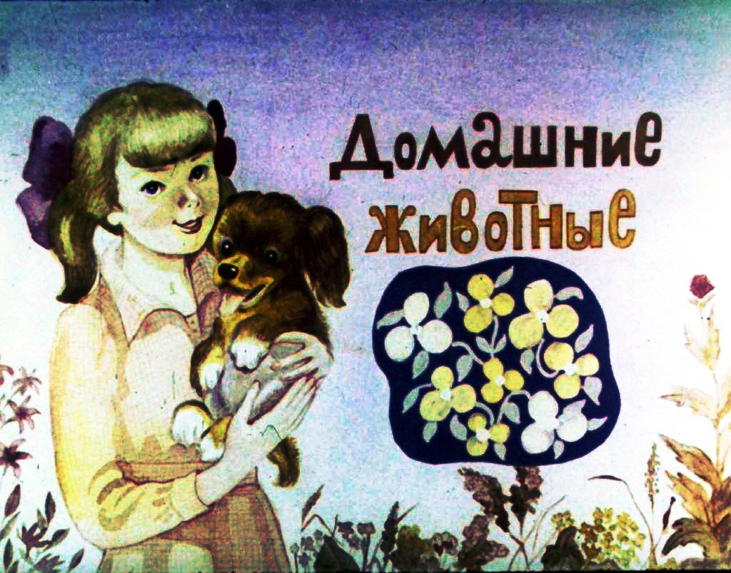 Кадр 1 диафильма «Домашние животные»