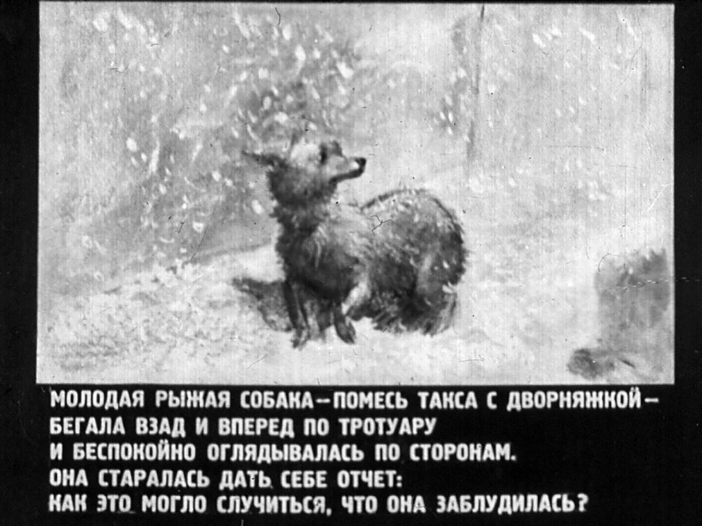 Кадр 1 диафильма «Каштанка»