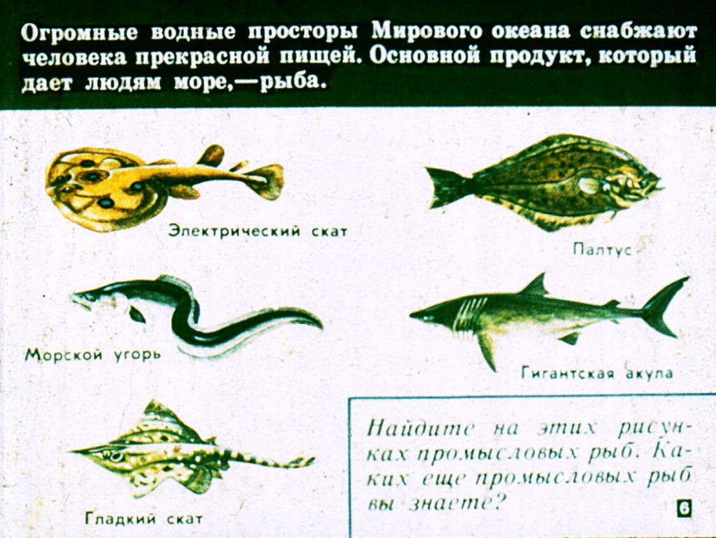 Кадр 6 диафильма «Значение океанов и морей для человека»