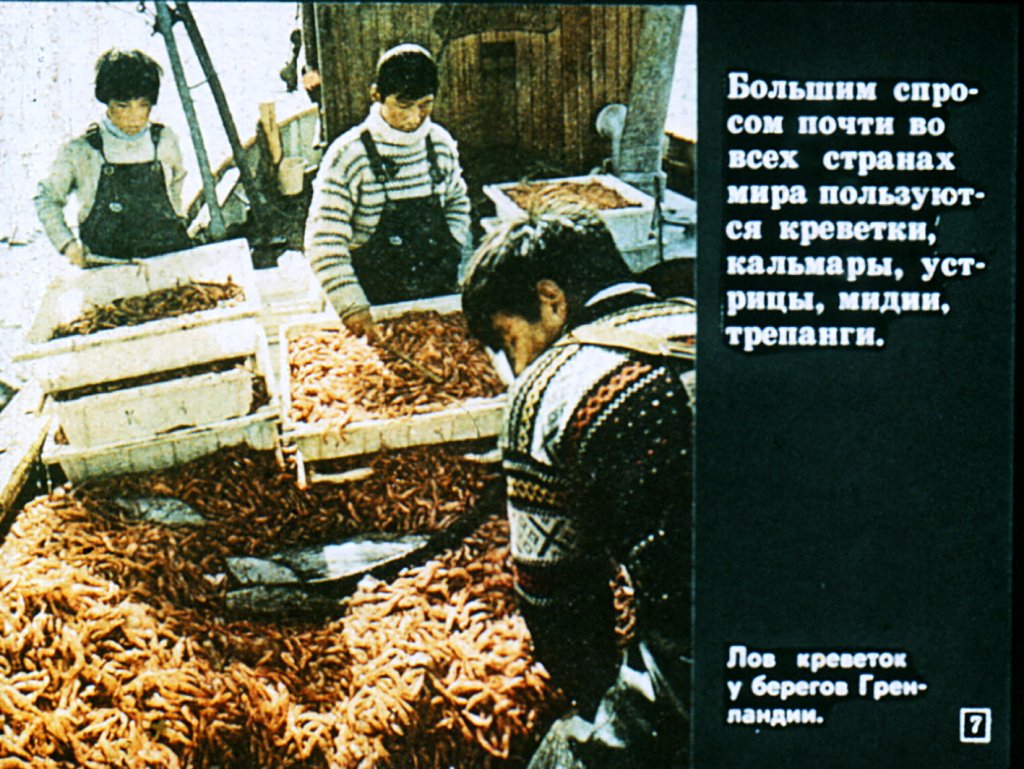Кадр 7 диафильма «Значение океанов и морей для человека»