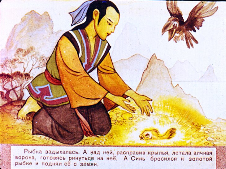 Кадр 4 диафильма «Золотая ракушка»