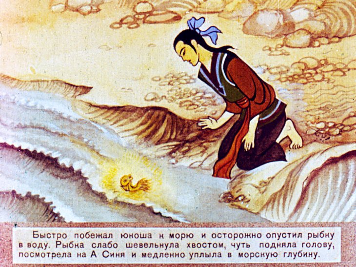 Кадр 5 диафильма «Золотая ракушка»