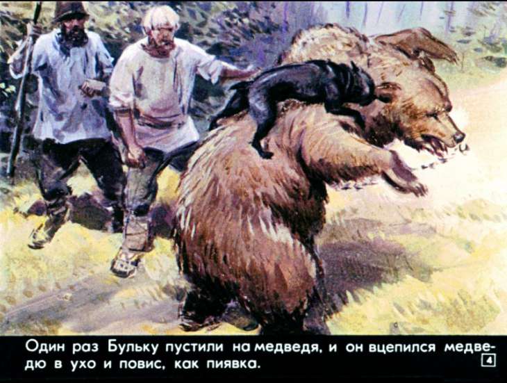 Кадр 4 диафильма «Булька»