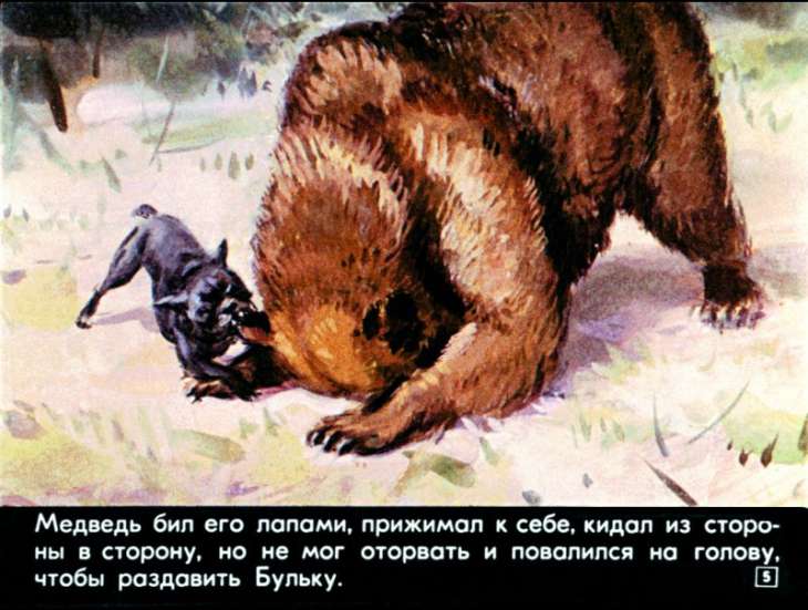 Кадр 5 диафильма «Булька»