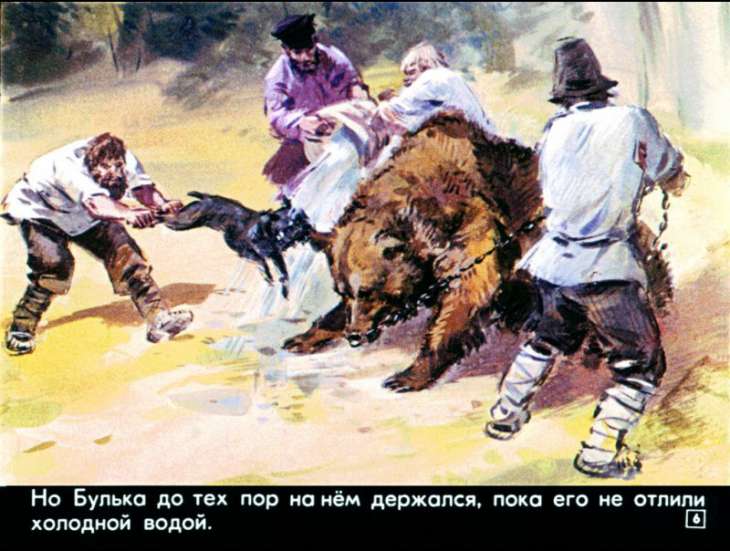Кадр 6 диафильма «Булька»