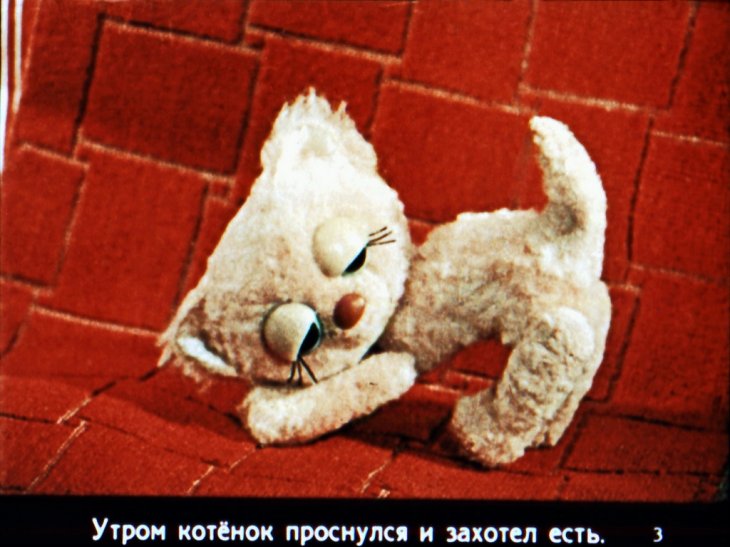 Кадр 3 диафильма «Котенок, который забыл, как надо просить есть»