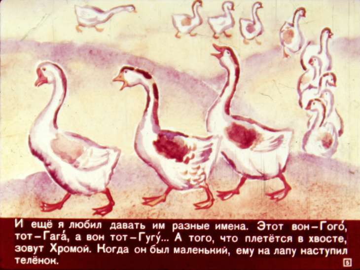 Кадр 5 диафильма «Храбрец Кызы»