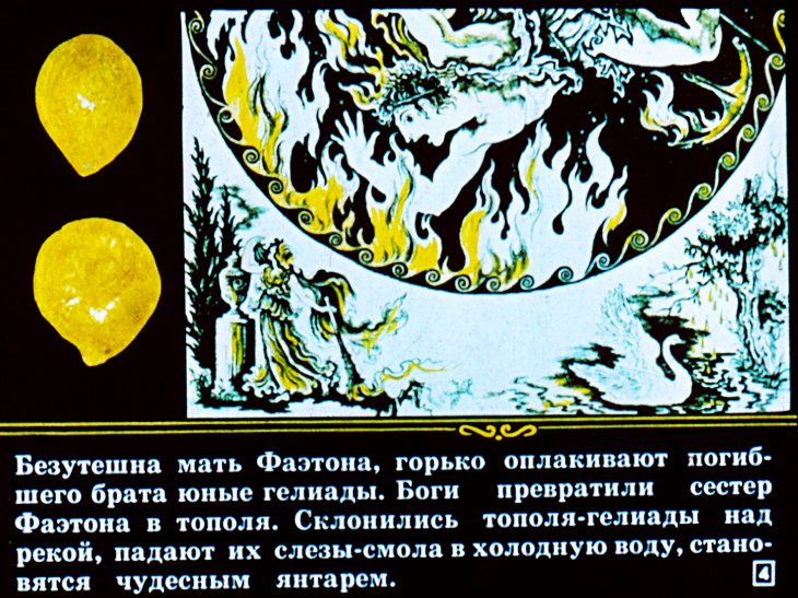 Кадр 3 диафильма «Баллада о янтаре»
