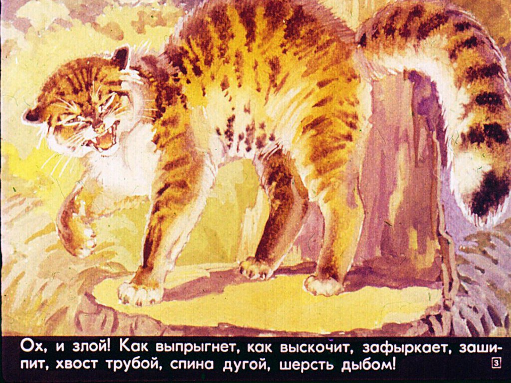 Кадр 3 диафильма «Это все - кошки»