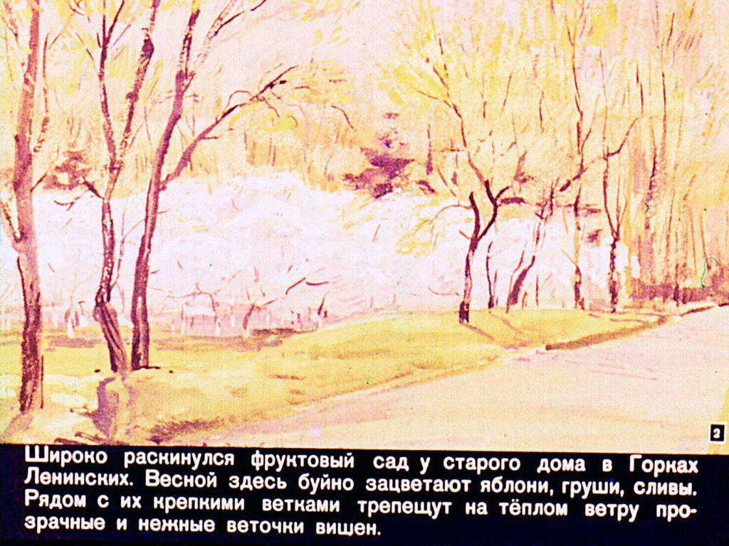 Кадр 2 диафильма «Вишневый сад в Горках»