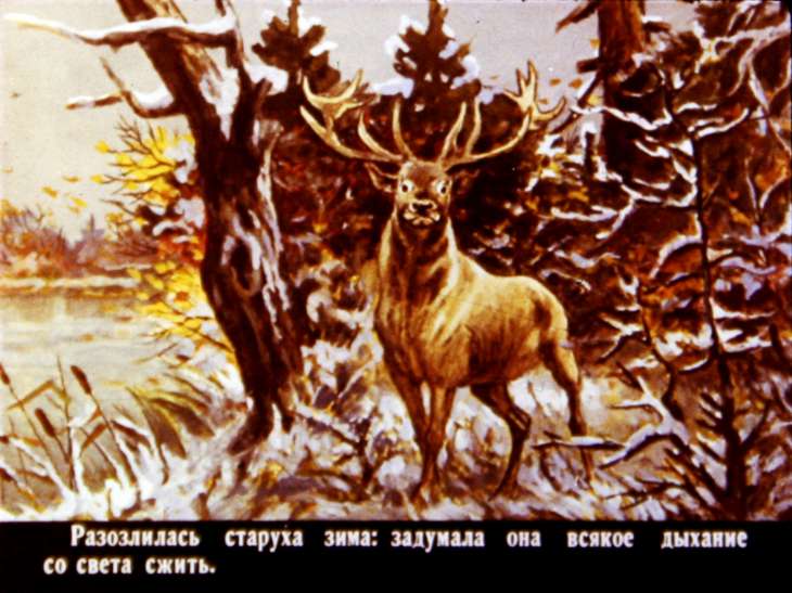 Кадр 3 диафильма «Проказы старухи зимы»