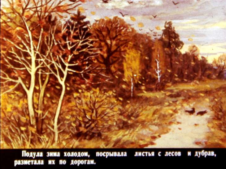 Кадр 5 диафильма «Проказы старухи зимы»