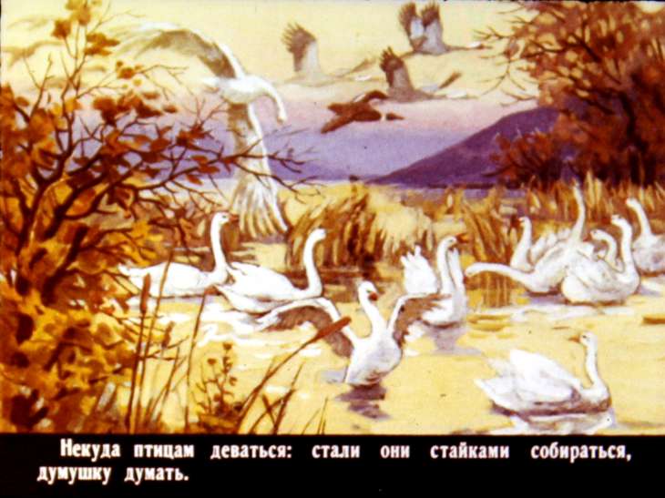 Кадр 6 диафильма «Проказы старухи зимы»