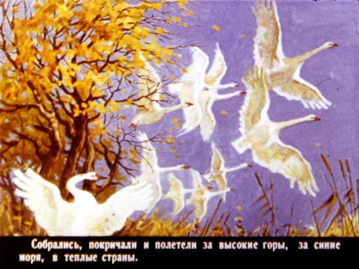 Кадр 7 диафильма «Проказы старухи зимы»