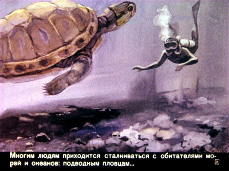 Кадр 2 диафильма «Опасная крылатка»