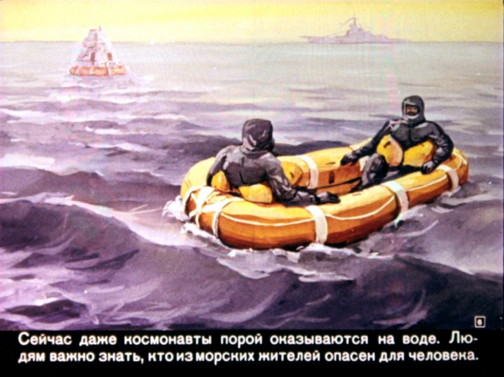Кадр 6 диафильма «Опасная крылатка»