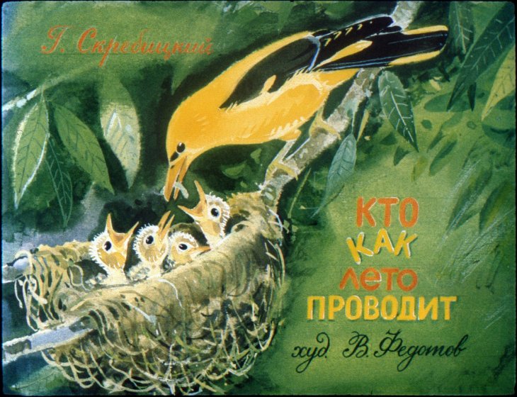 Кадр 1 диафильма «Кто как лето проводит»