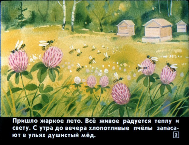 Кадр 2 диафильма «Кто как лето проводит»