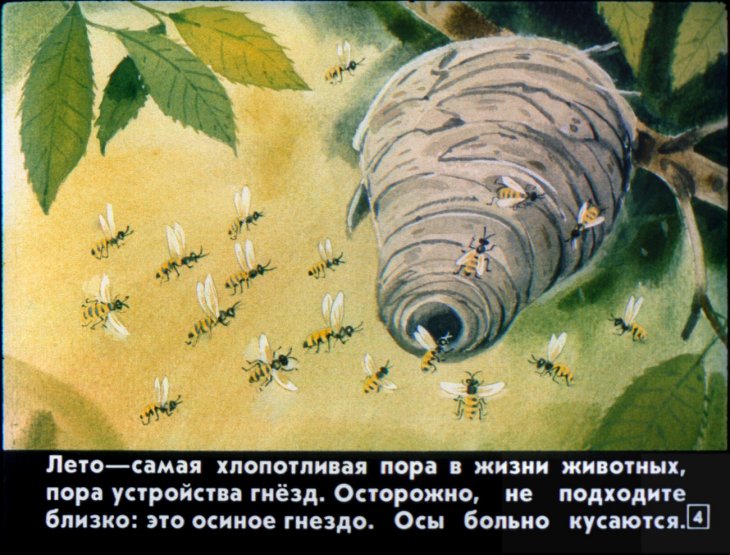 Кадр 4 диафильма «Кто как лето проводит»