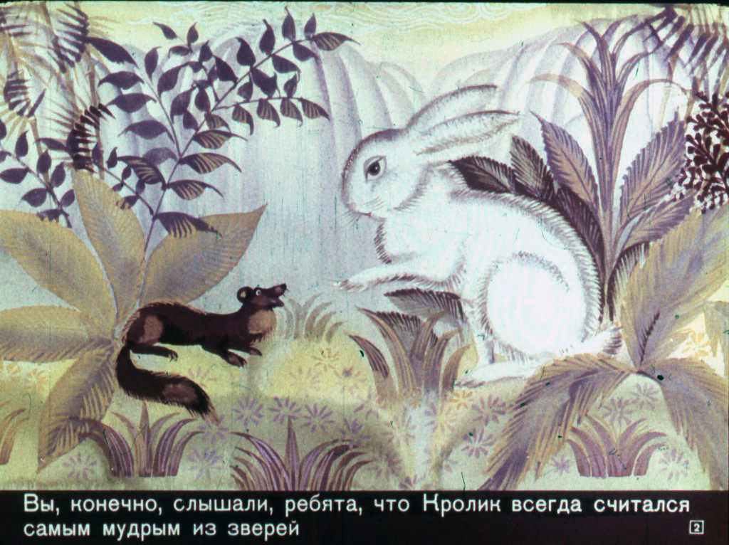 Кадр 2 диафильма «Почему у кролика дрожит нос»