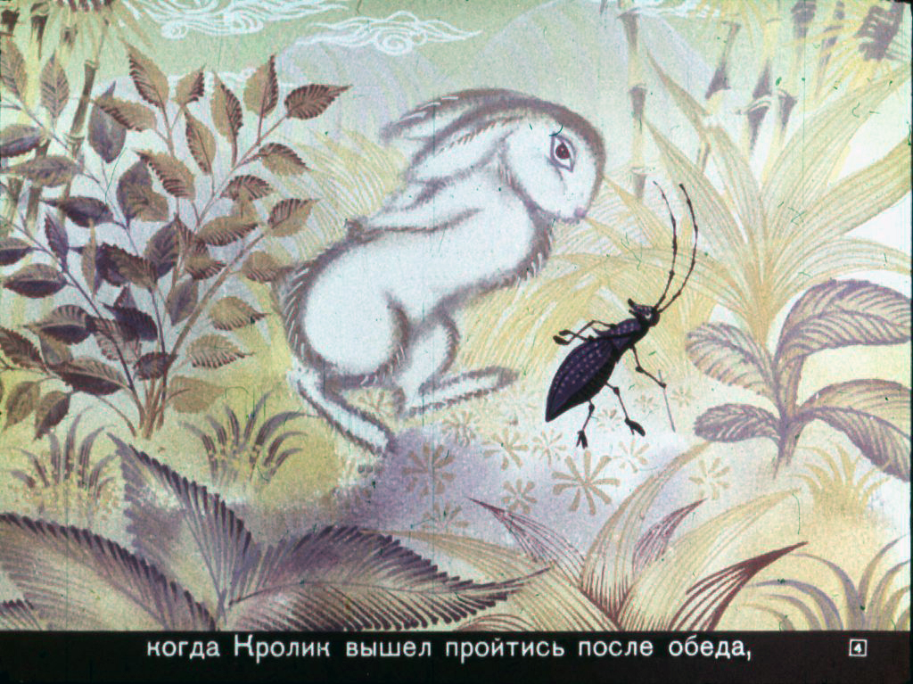 Кадр 4 диафильма «Почему у кролика дрожит нос»