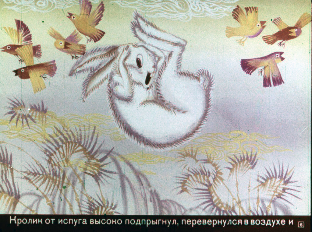 Кадр 6 диафильма «Почему у кролика дрожит нос»