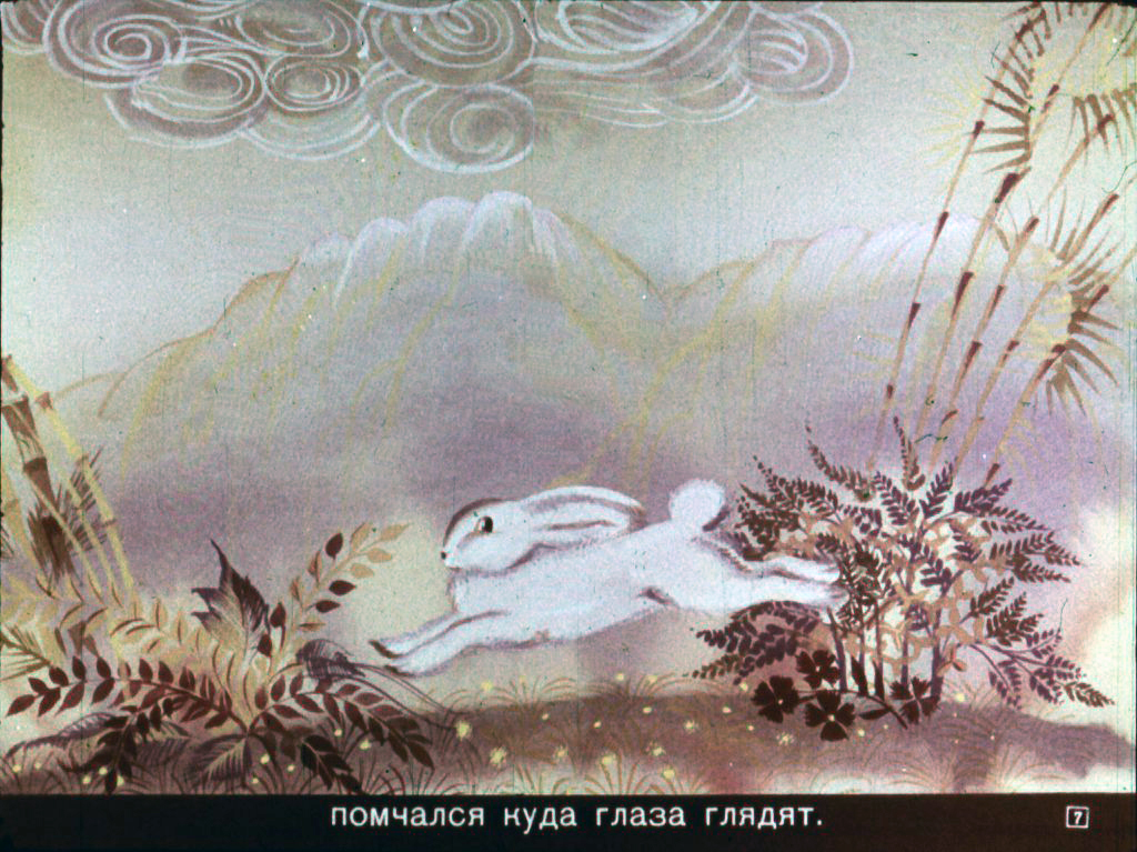 Кадр 7 диафильма «Почему у кролика дрожит нос»