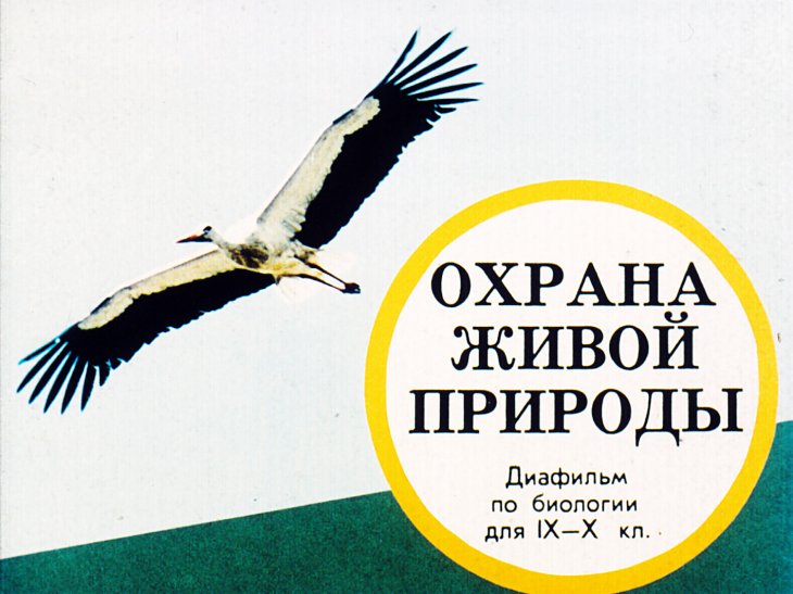 Кадр 1 диафильма «Охрана живой природы»