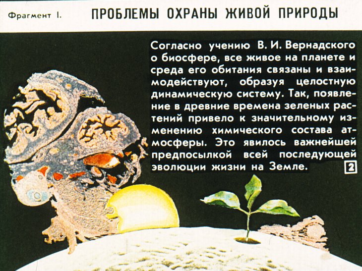 Кадр 2 диафильма «Охрана живой природы»