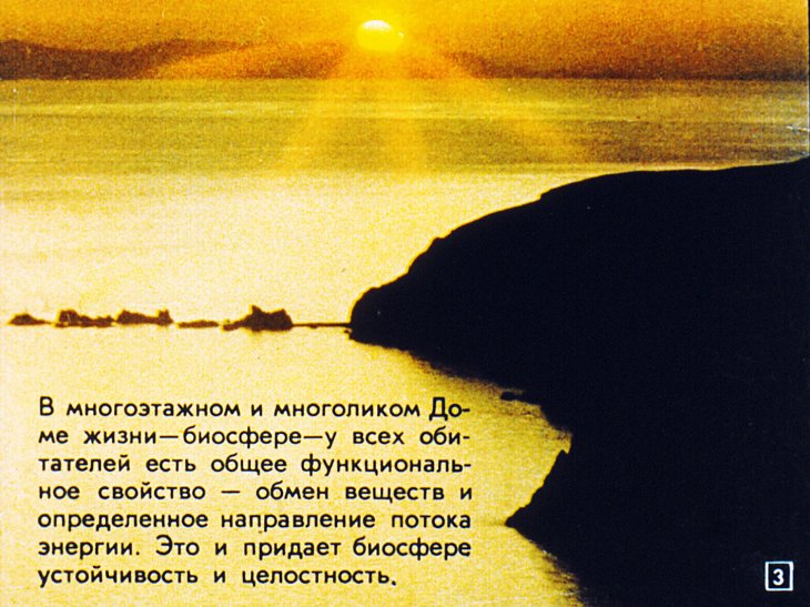 Кадр 3 диафильма «Охрана живой природы»