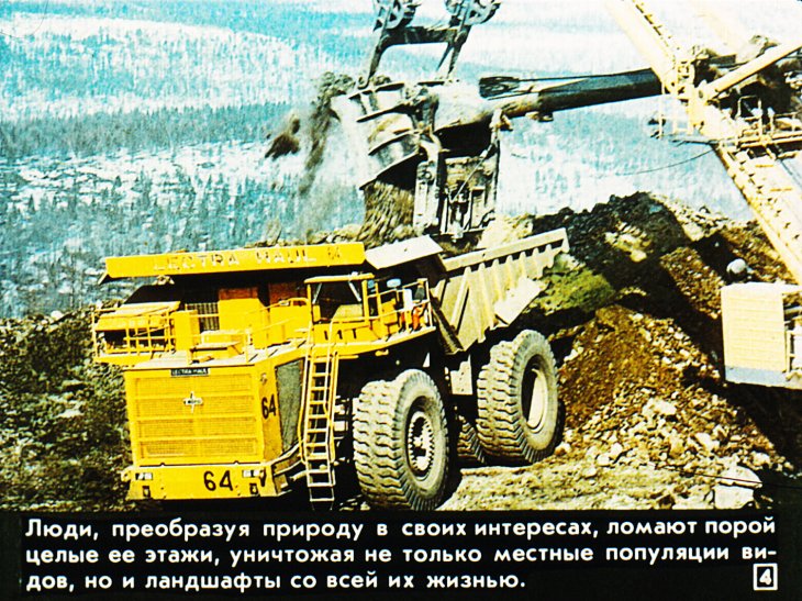 Кадр 4 диафильма «Охрана живой природы»