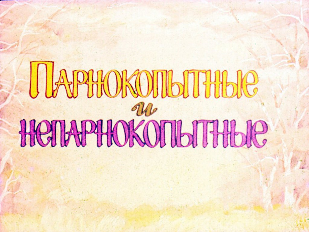 Кадр 1 диафильма «Парнокопытные и непарнокопытные»