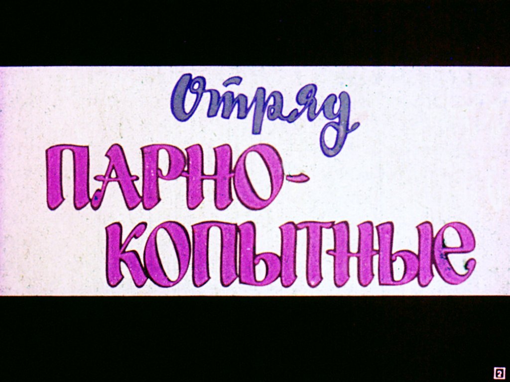 Кадр 2 диафильма «Парнокопытные и непарнокопытные»
