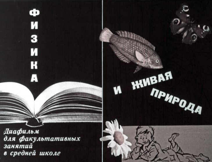 Кадр 1 диафильма «Физика и живая природа»