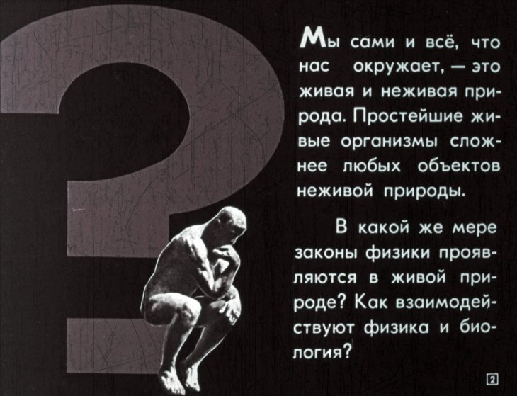 Кадр 2 диафильма «Физика и живая природа»