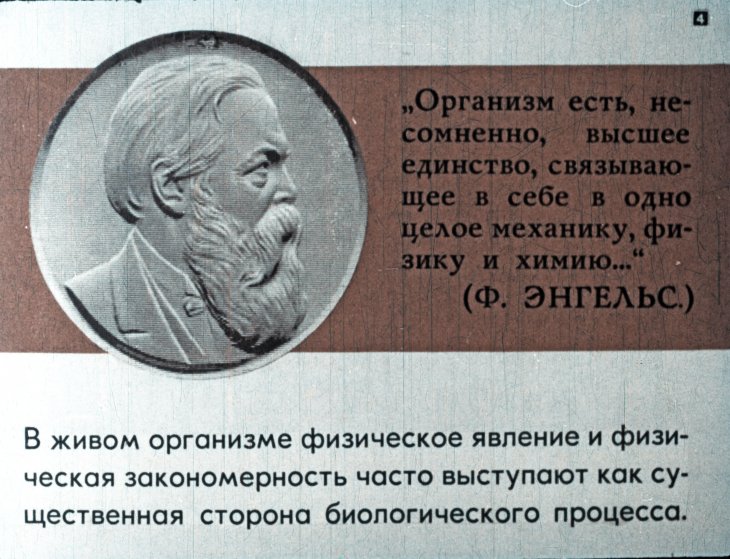 Кадр 4 диафильма «Физика и живая природа»