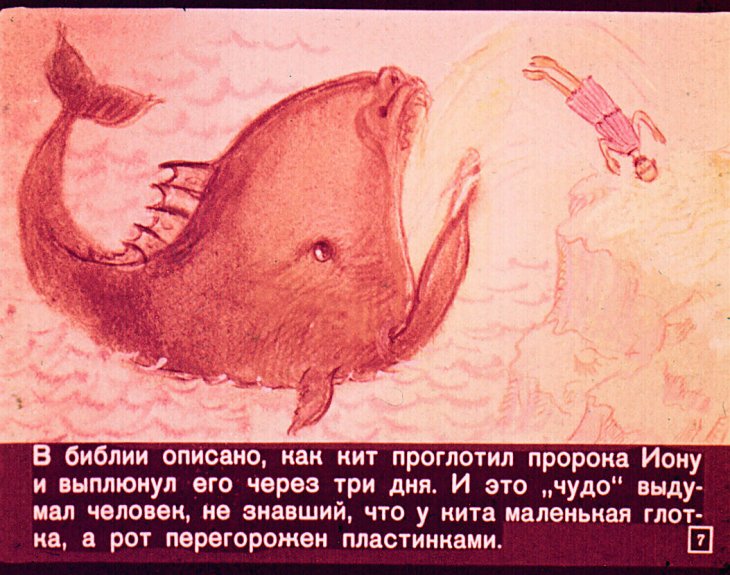 Кадр 7 диафильма «Человек с тринадцатью головами»